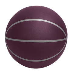 Quiet Bounce Basketball Indoor Training Low-Noise Practice Ball